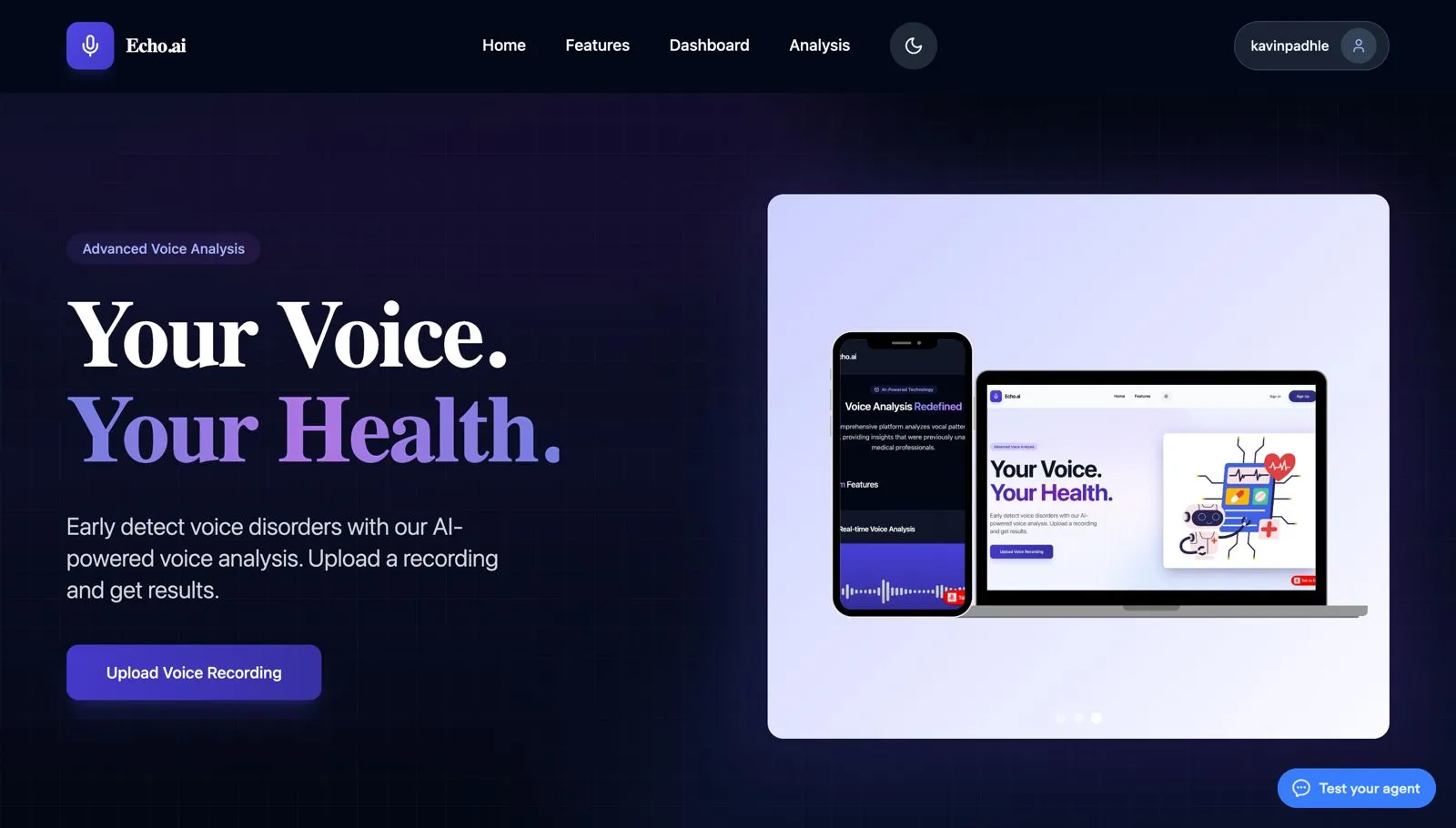 EchoAI project